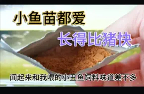 Download Video: 开箱小型鱼苗开口饲料，来自鱼场主养殖小技巧，这样喂小鱼长得快