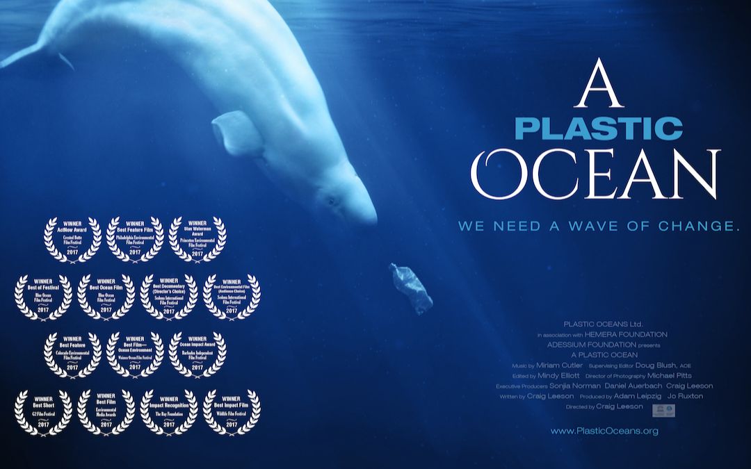 [纯英文字幕][1080p] a plastic ocean. 塑料海洋_哔哩哔哩_bilibili