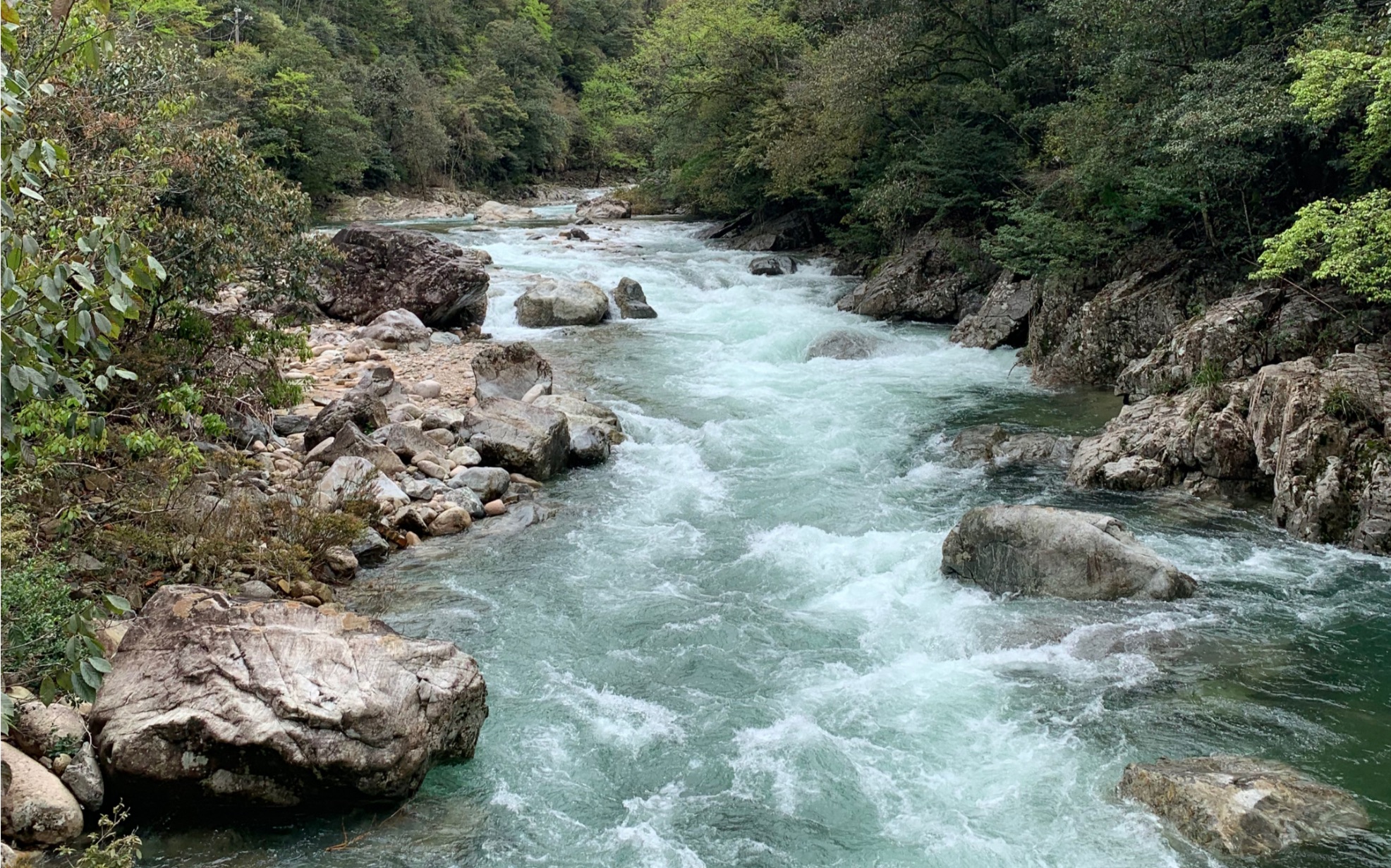 福建武夷山桐木关自然保护区_哔哩哔哩_bilibili