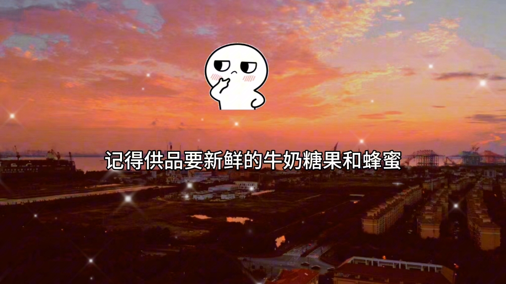 灾舅子:周晖这种人连巧克力都不舍得给我哥吃.就应该注孤生!哔哩哔哩bilibili