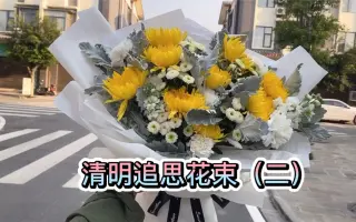 清明节花束 搜索结果 哔哩哔哩 Bilibili