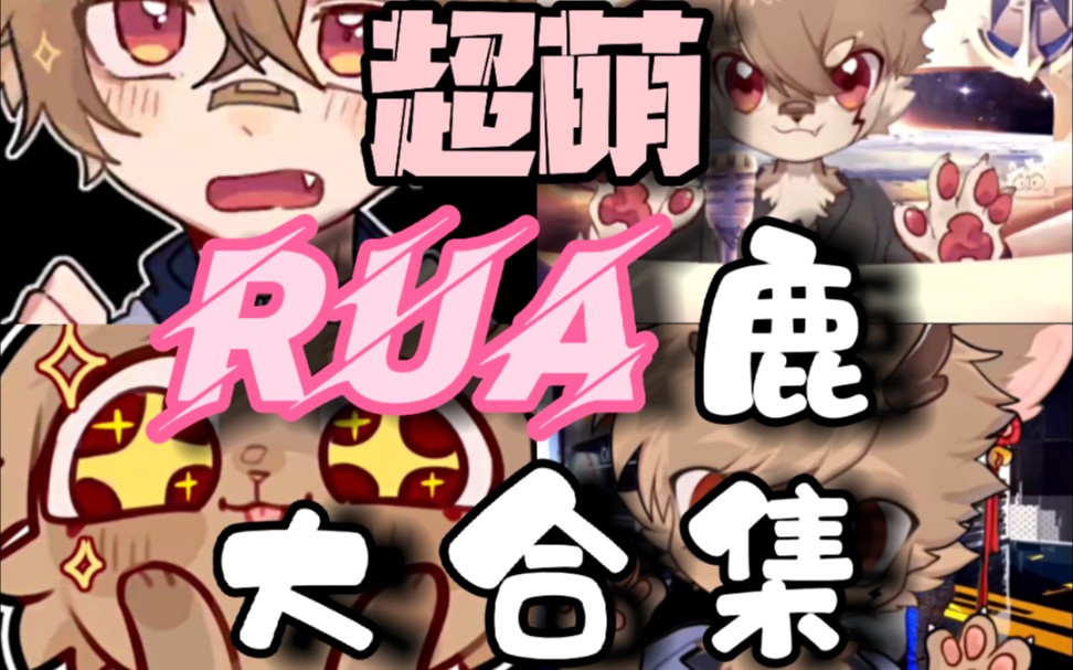 【电鹿】rua鹿合集!今天rua个够!哔哩哔哩bilibili