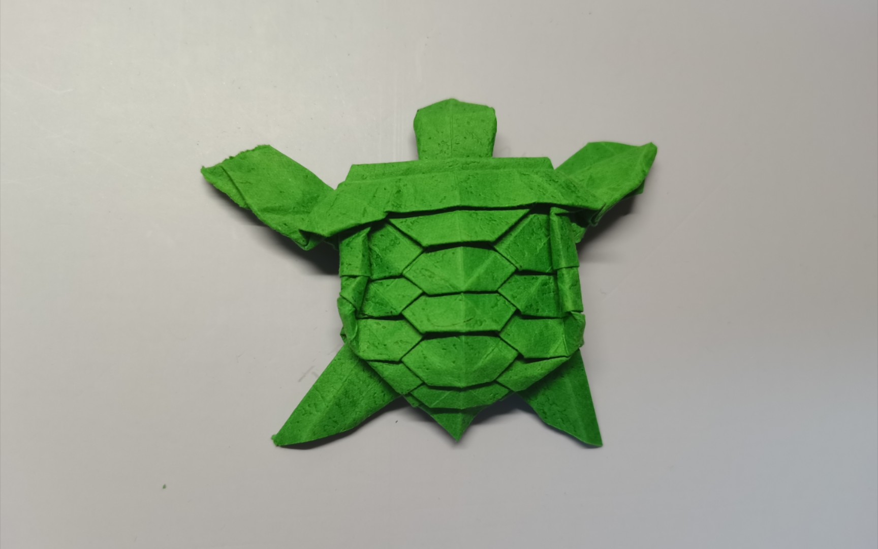 【原速折纸】龟 海龟?