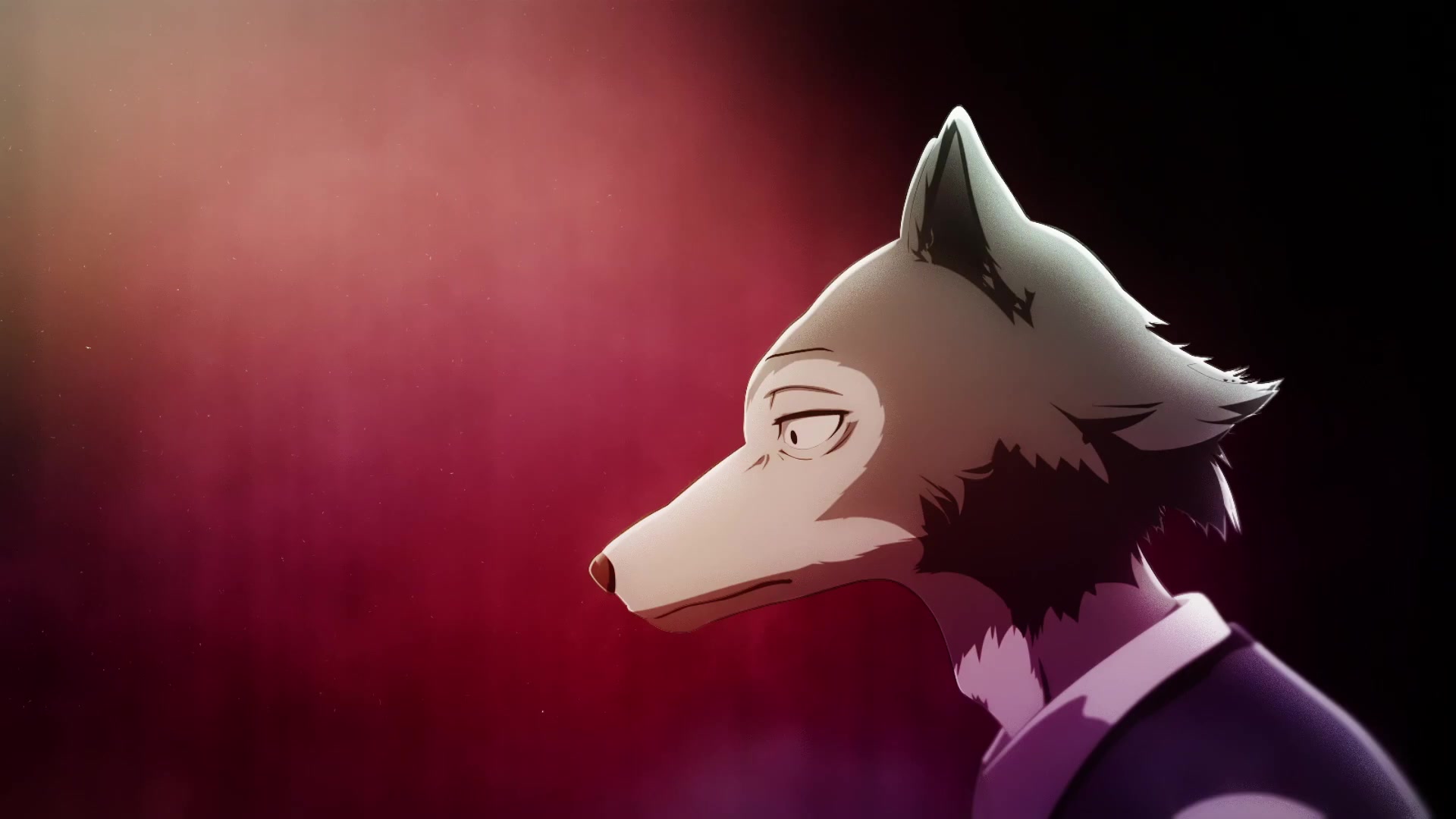 【1080p/10月】动物狂想曲 / beastars op&ed tv size