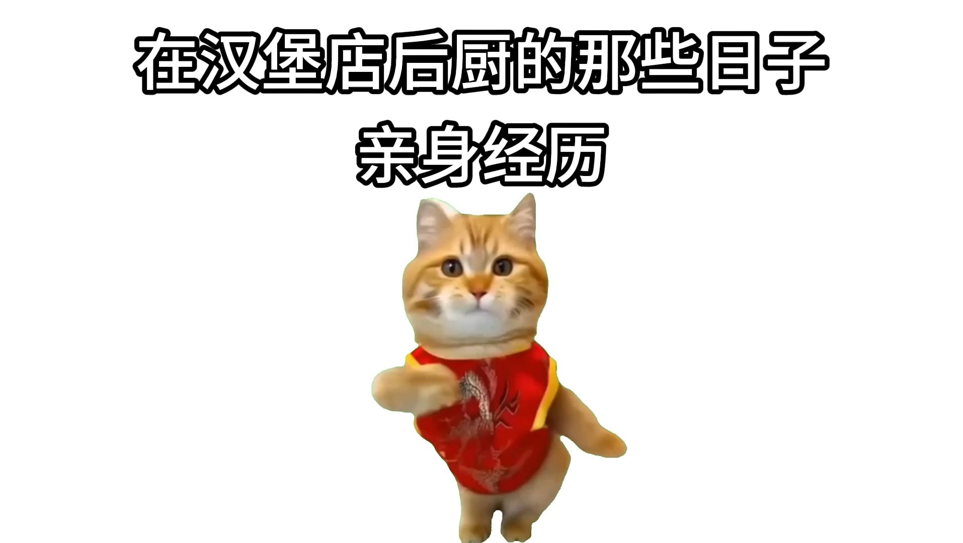 【猫meme】重生之我要成为汉堡店后厨传奇!哔哩哔哩bilibili