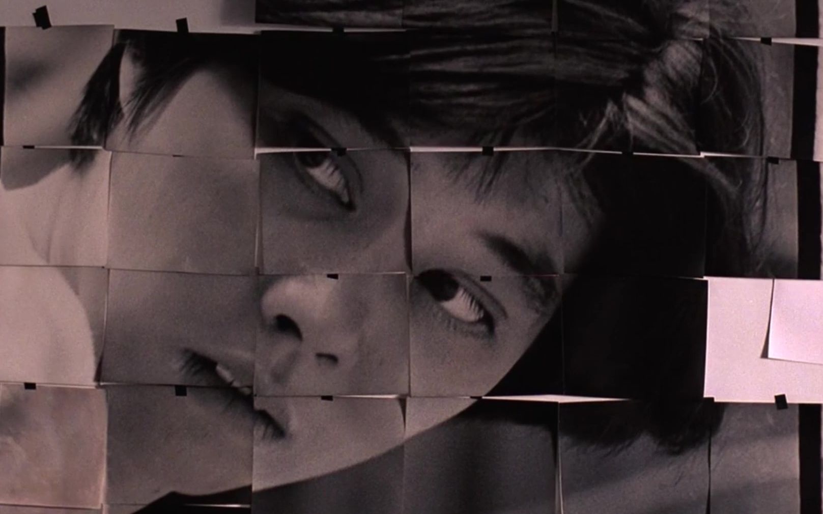 生活是一场致命的恐怖袭击杨德昌电影混剪