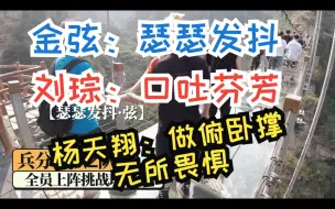 Download Video: 瑟瑟发抖的金北公主走玻璃栈道，是谁让琮爷口吐芬芳