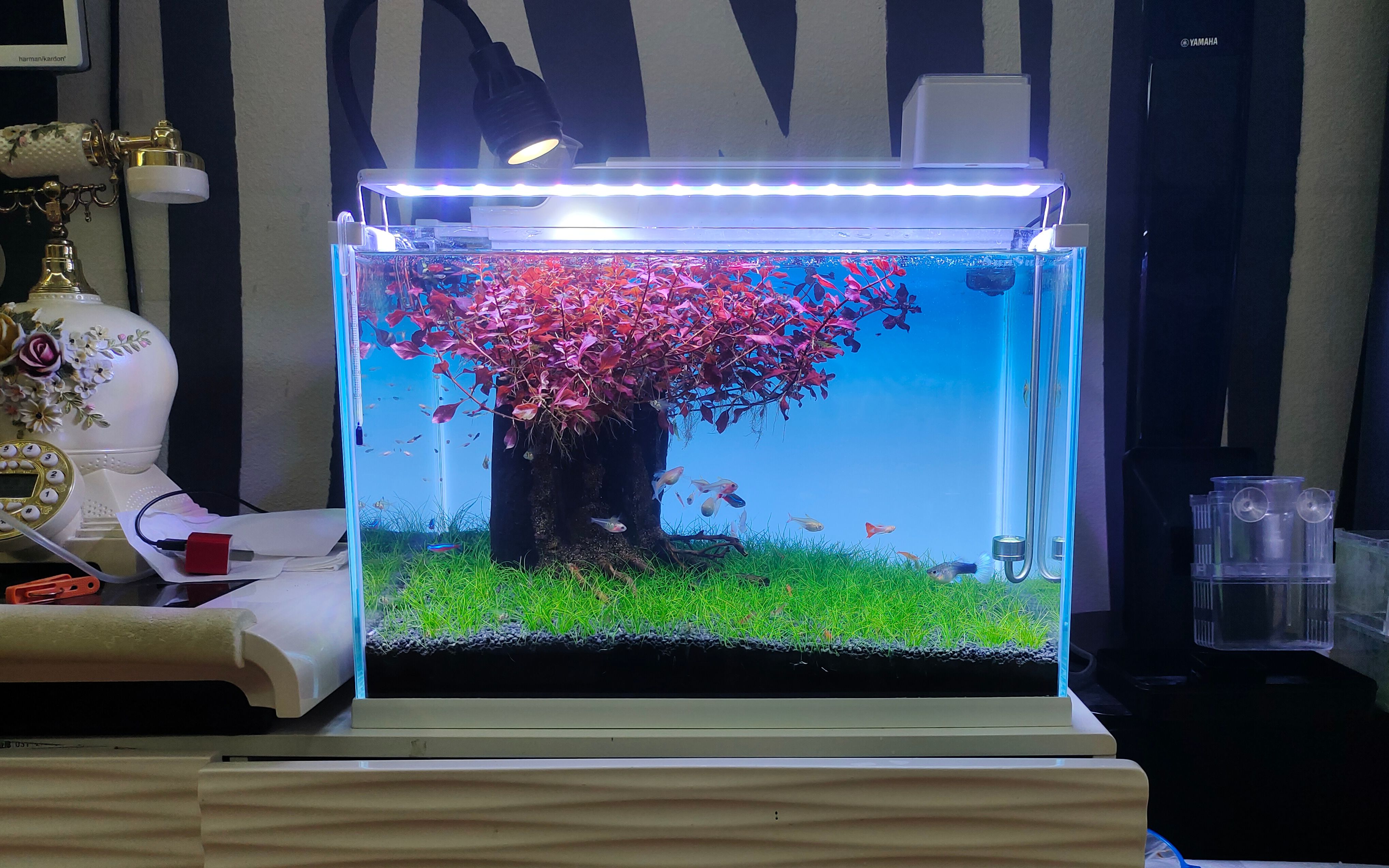 生命之树鱼缸造景