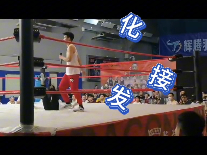 马保国迎来二番战?谁说五连鞭不能实战!