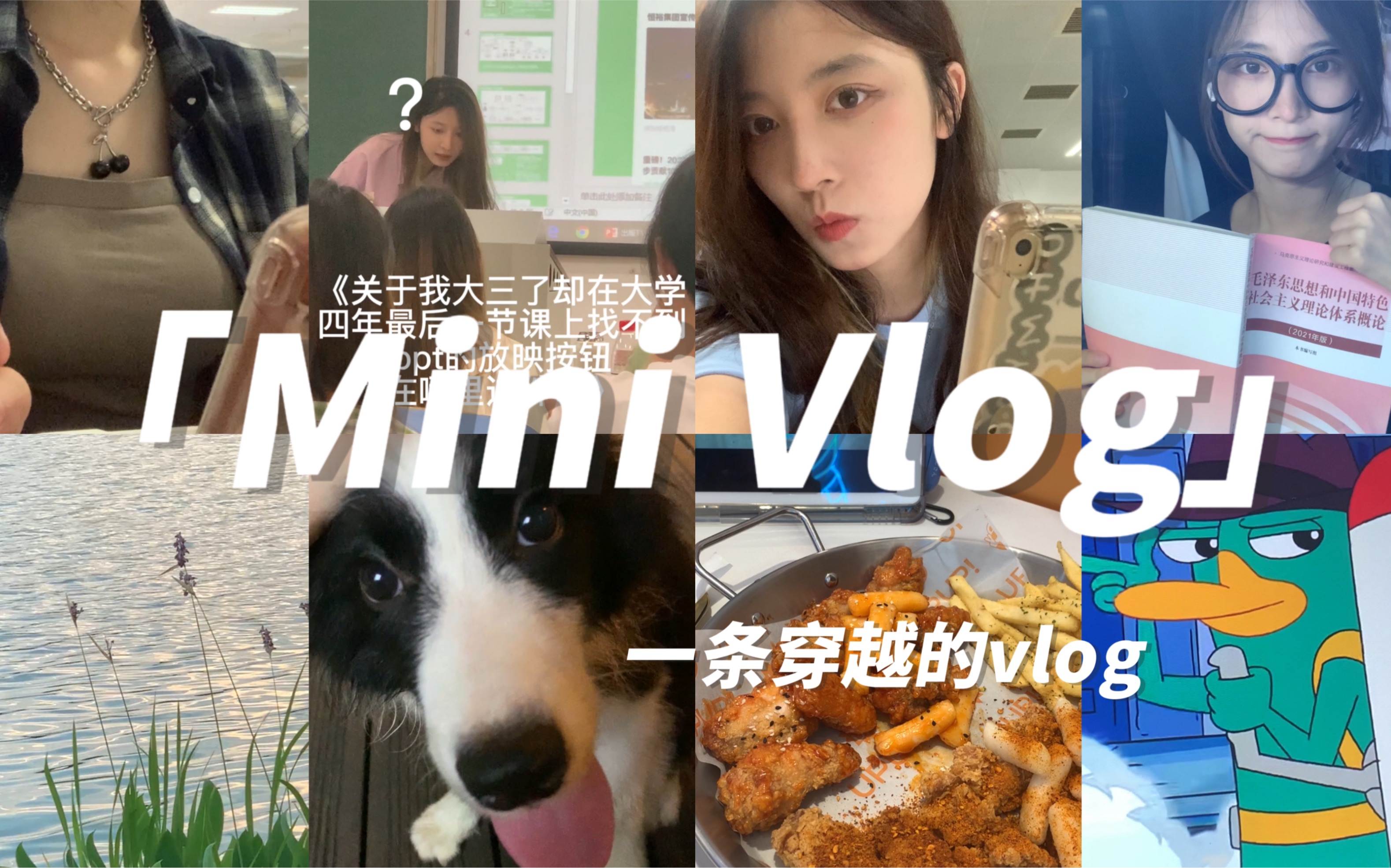 大三 Vlog|刷到这条证明你穿越了!|大三就把本科所有课程学完是什么体验|我的期末复习周vlog|美天都在撸狗|图书馆日常|已经开始怀念大学时光了是怎么回事...