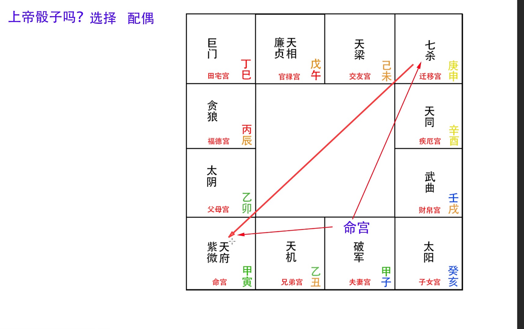 北派紫微斗数,上帝掷骰子吗?哔哩哔哩bilibili