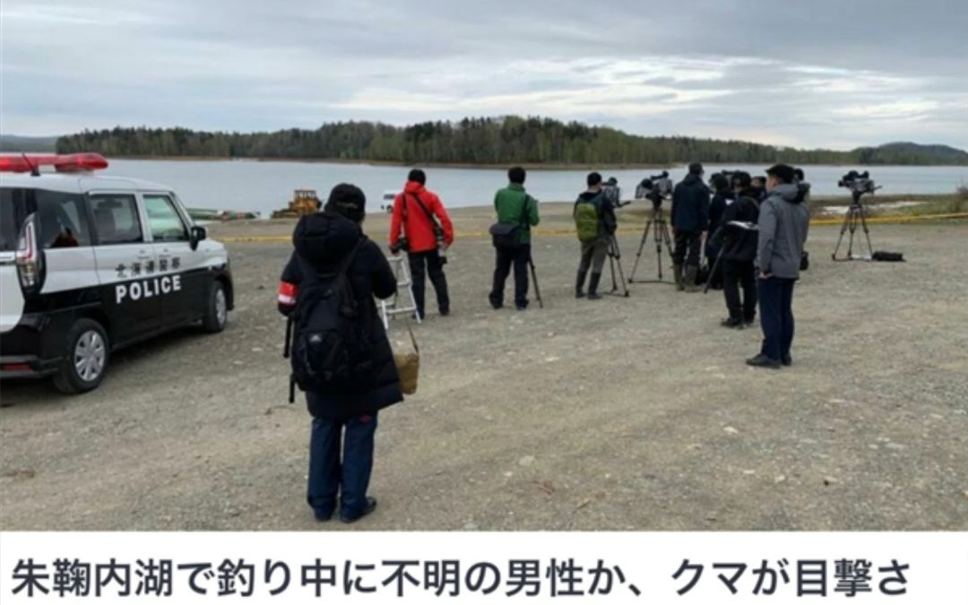 日本又现熊吃人事件!一棕熊尸体内发现人体残骸:系登山大学生哔哩哔哩bilibili