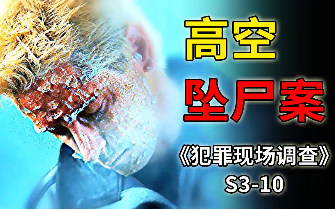 [图]高空突然掉下一具尸体，帅气小伙被摔的支离破碎《CSI》S3-10