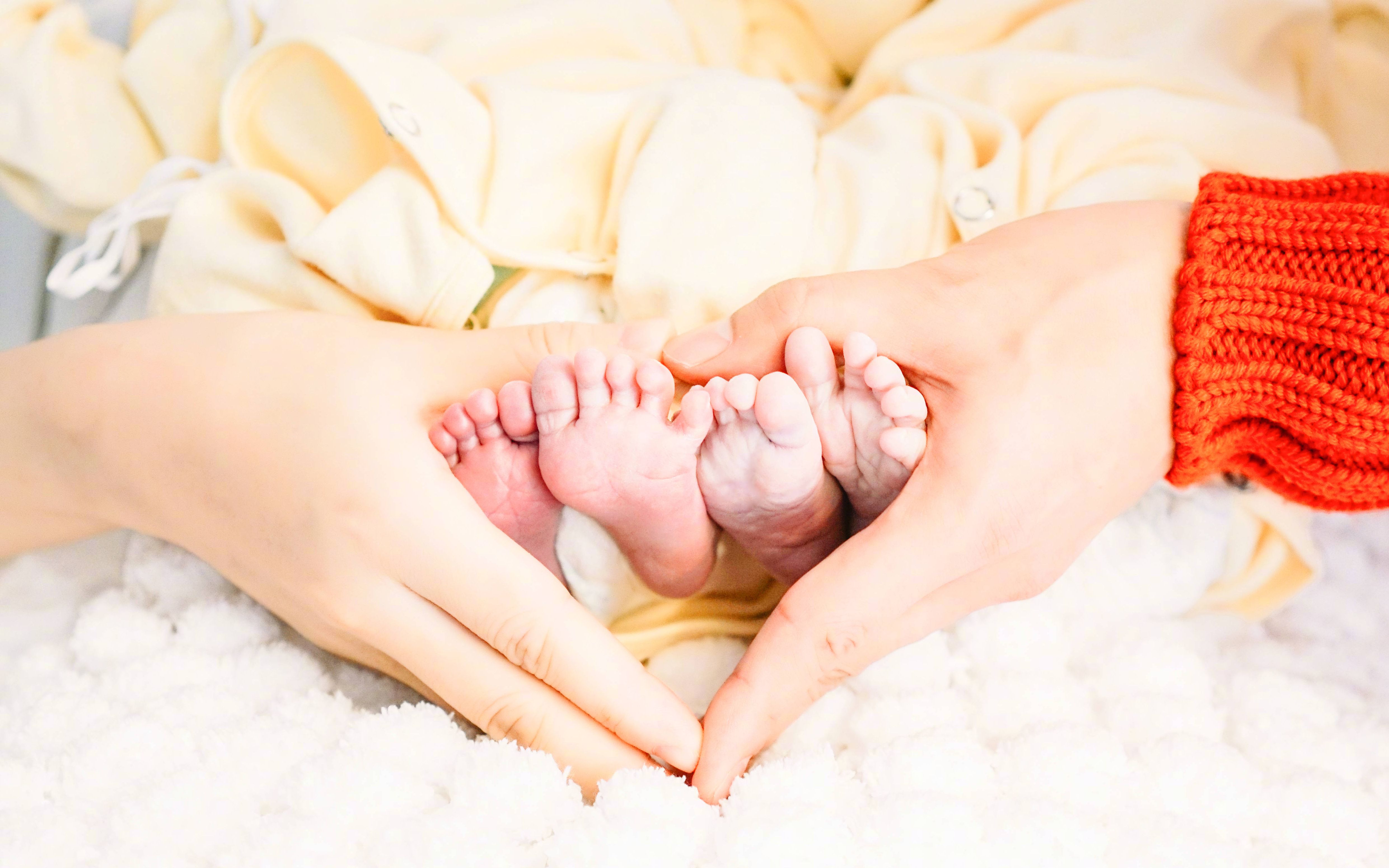 【张杰谢娜】1 1=4