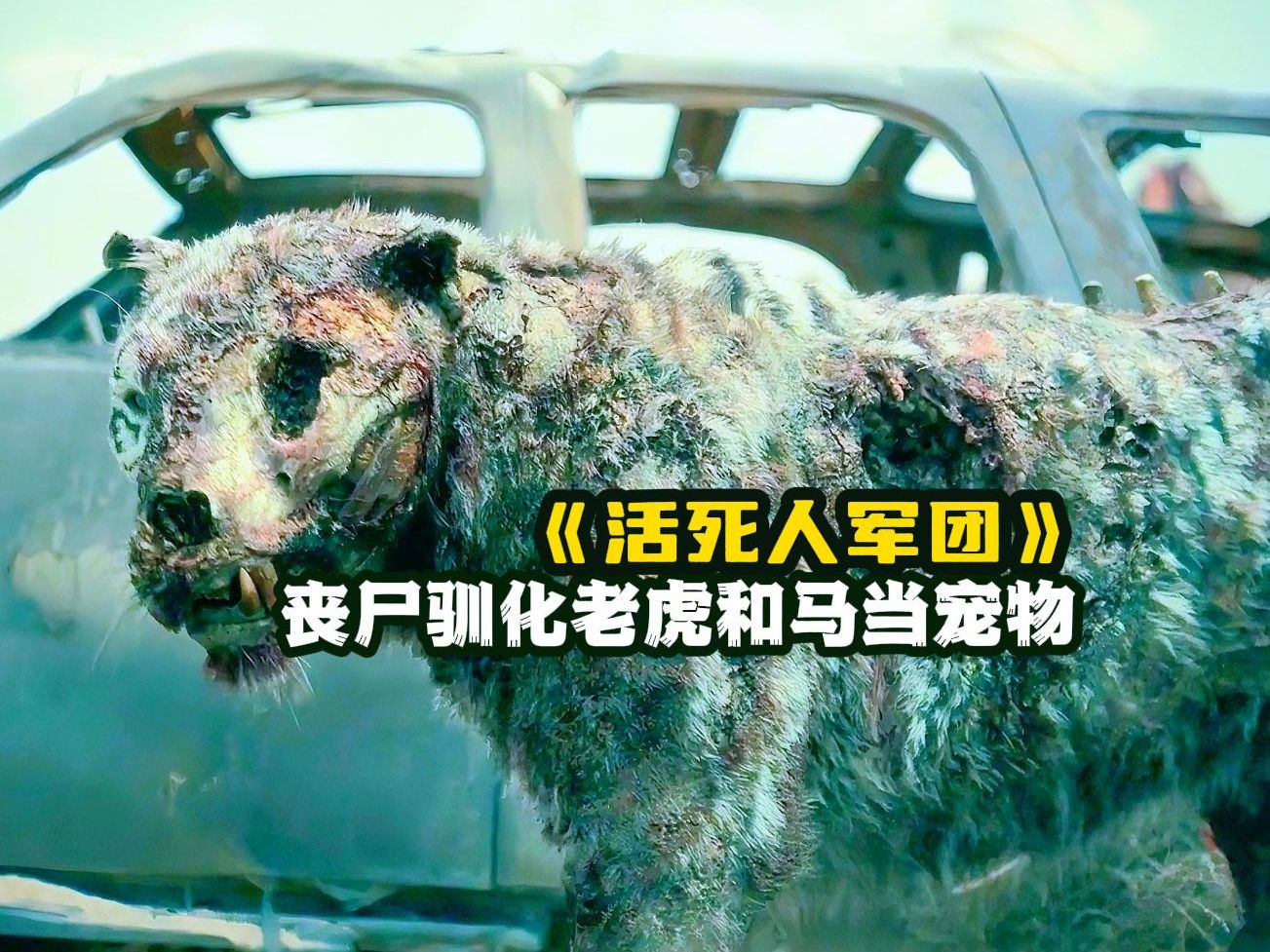 你见过丧尸娶妻生子吗?而且驯化老虎和马当宠物