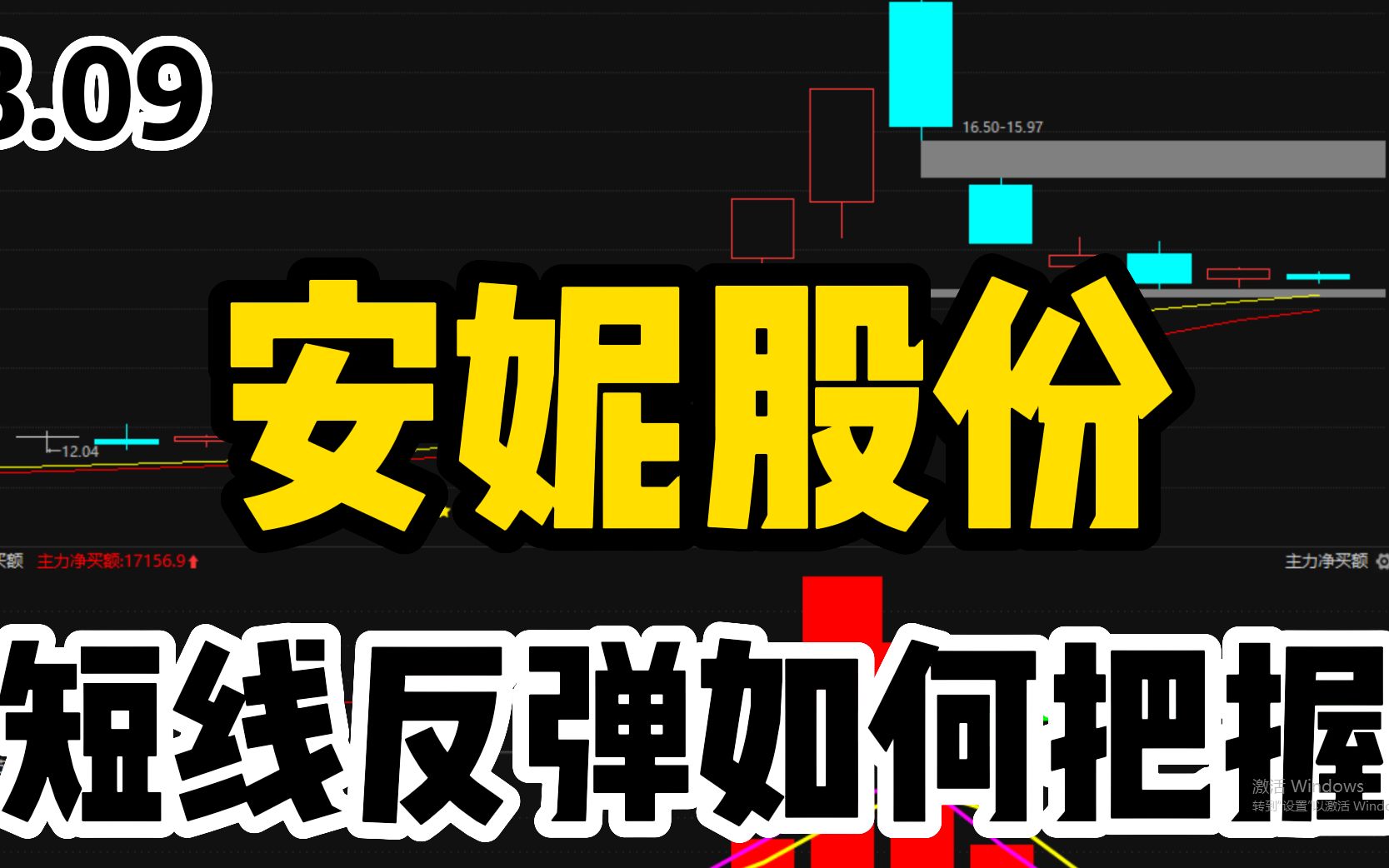 安妮股份:短线反弹底部启动,后市机会该如何把握!?哔哩哔哩bilibili