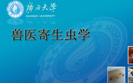 兽医寄生虫学广西大学主讲黄维义 92讲哔哩哔哩bilibili