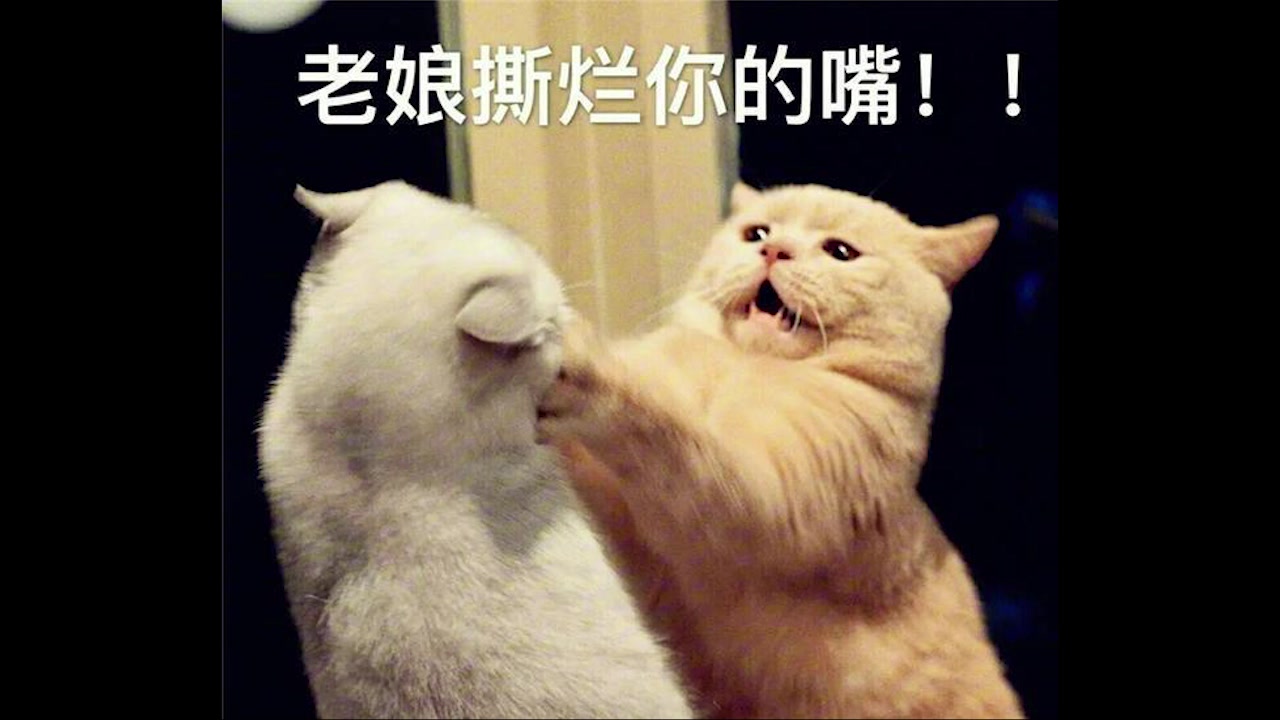 男孩儿们,还在找女朋友?_哔哩哔哩_bilibili