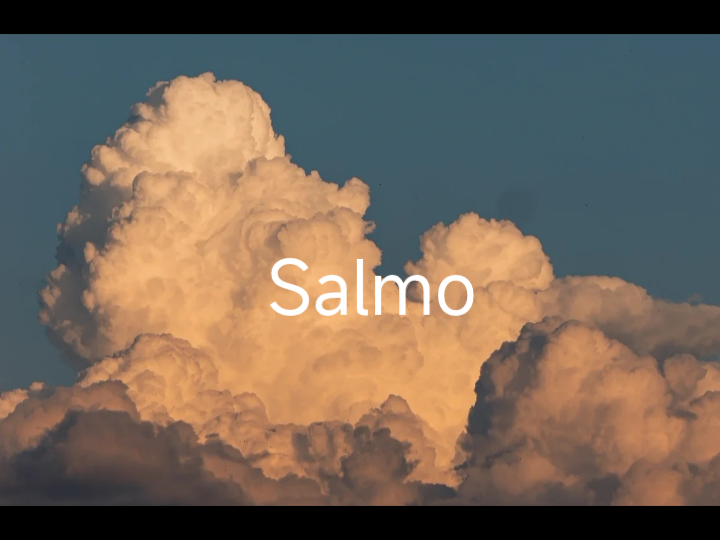 [图]【Salmo/原创】送给晨曦的飞鸟，愿不忘为何而飞翔