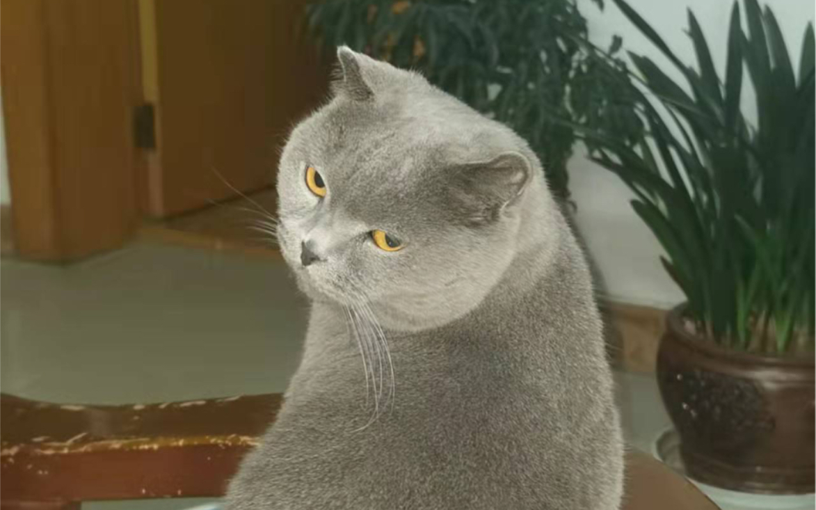 humpy:我真是嗨到不行啊!