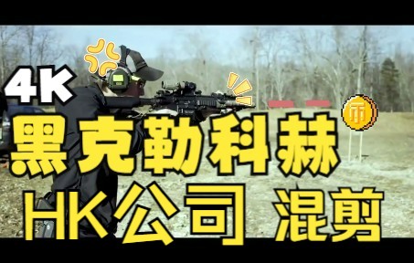 [图]【4K60/HK/黑克勒-科赫】HK公司战术混剪