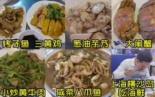 Download Video: 上海横沙岛吃海鲜，饭店难找物价不便宜，两人6个菜花了多少钱