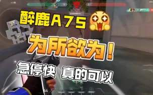 Descargar video: 醉鹿A75 Sorry啦 急停快真的可以为所欲为