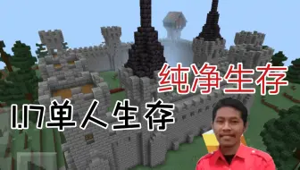 1.17纯净生存