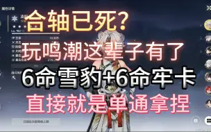 Download Video: 【鸣潮】6命雪豹+6命牢卡这辈子算是值了！