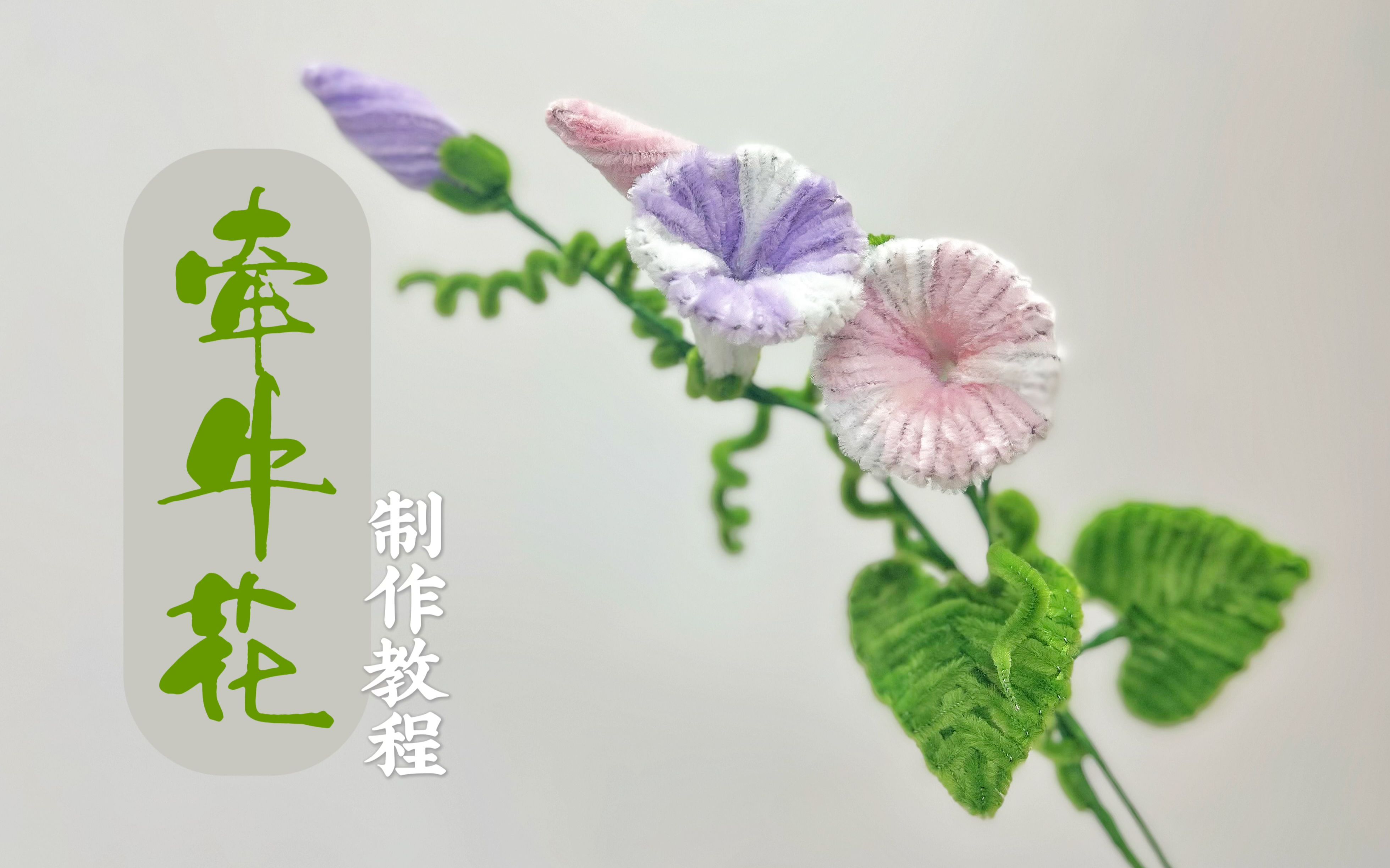 [图]超简单扭扭棒花束牵牛花详细制作教程