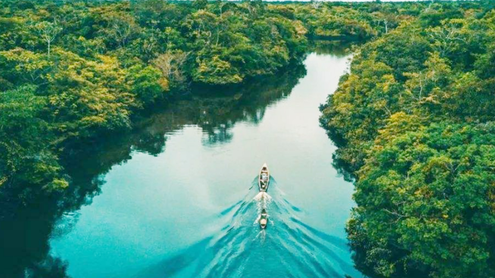 亚马逊雨林看起来是绿色天堂, 却被称为人类禁地,为啥?