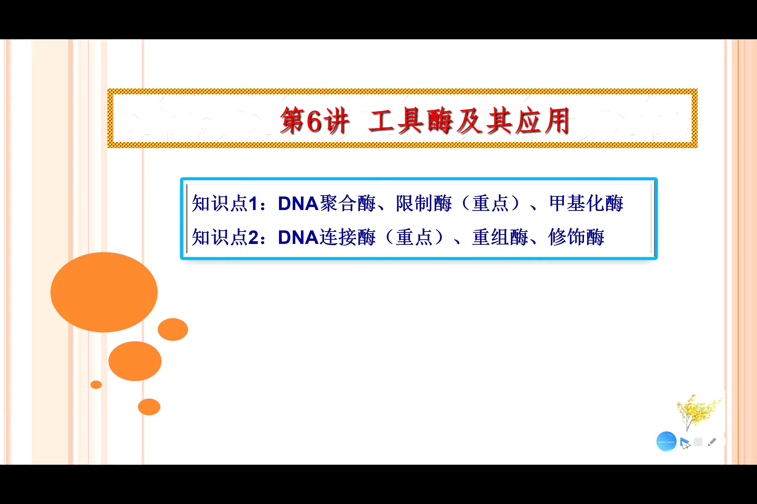 DNA的功能图片