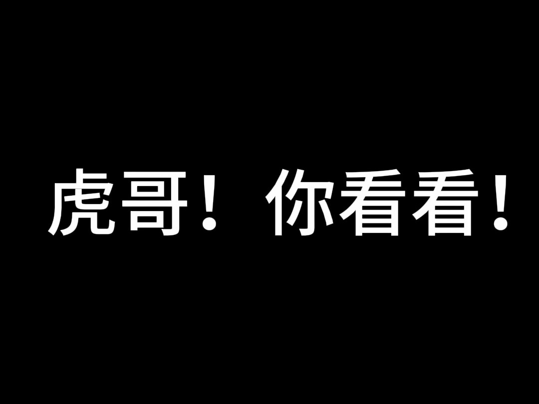 虎哥!你看看!