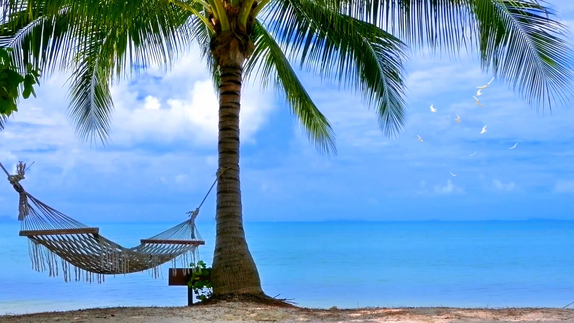 旅行的意义不在于目的地,而在于沿途的风景以及看风景的心情