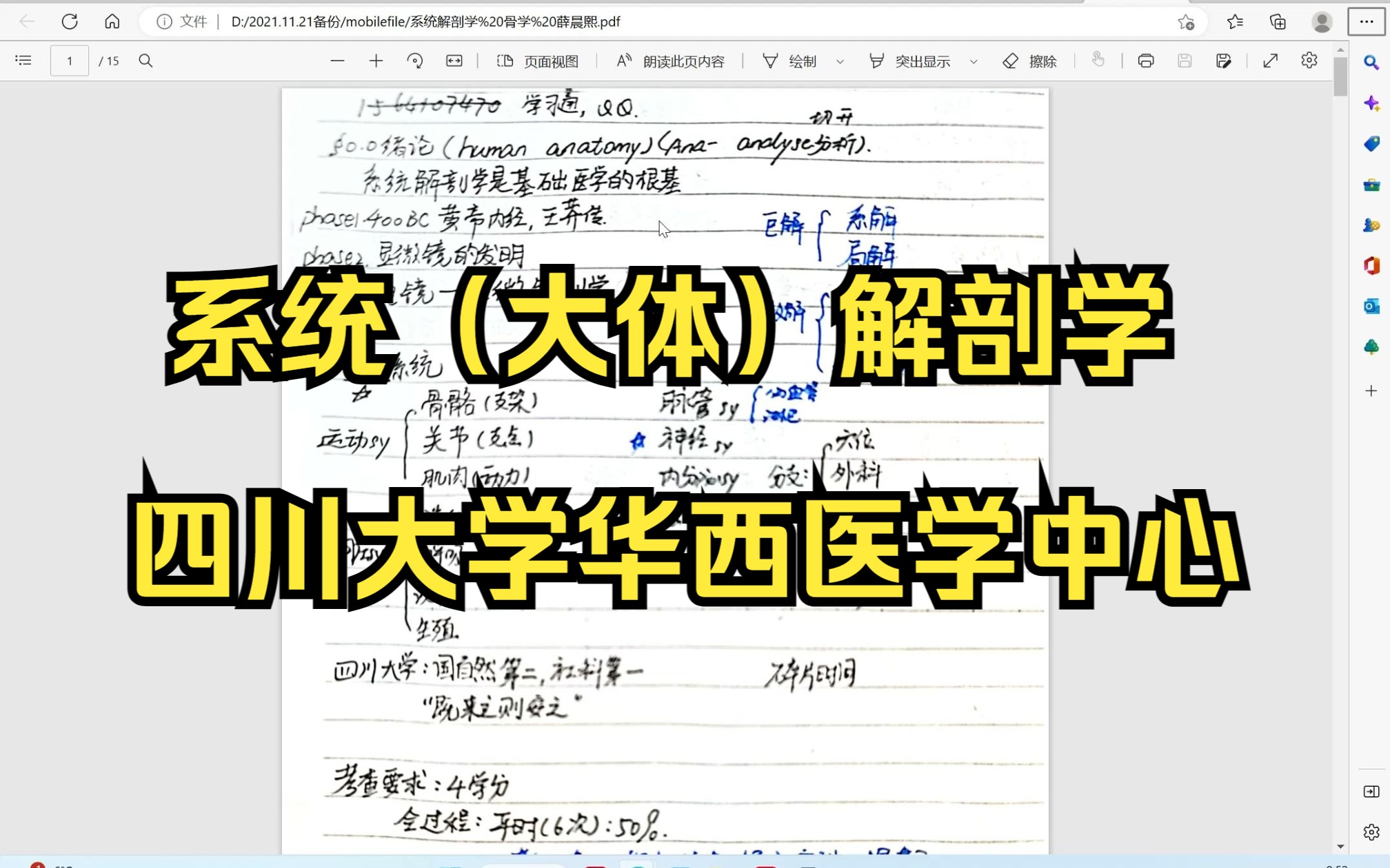 系统(大体)解剖学骨学 四川大学华西公共卫生学院 20230120哔哩哔哩bilibili