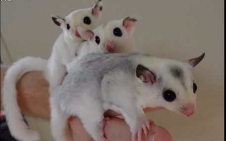 喜多多推荐的身体乳大容量(喜多多推荐的身体乳大容量能用吗)