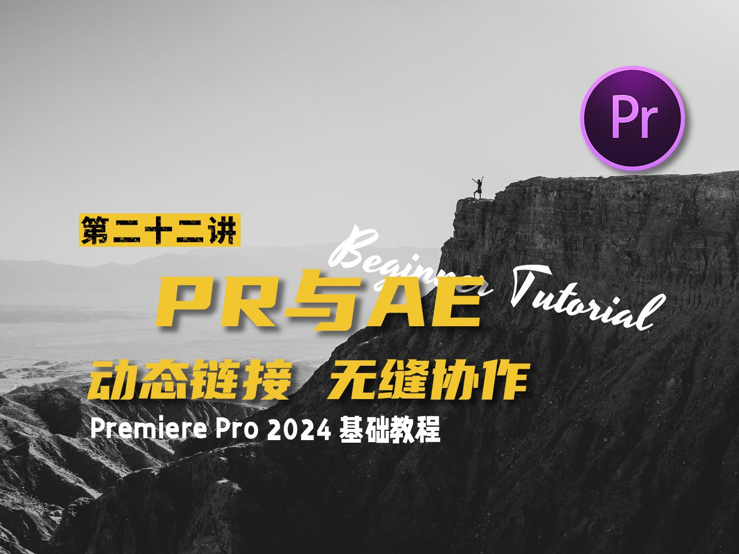 PR与AE动态链接 无缝协作 【PremierePro2024 基础教程】哔哩哔哩bilibili