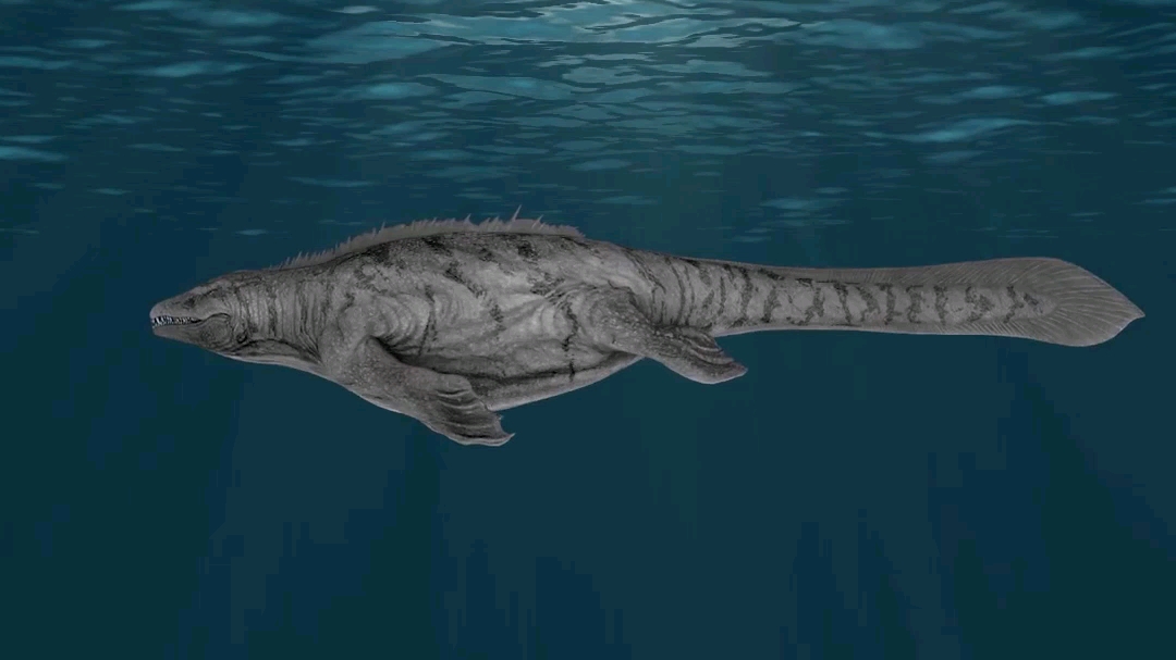 如果沧龙还活着会怎么样?