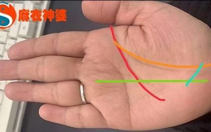 元宝纹手相图片 B站