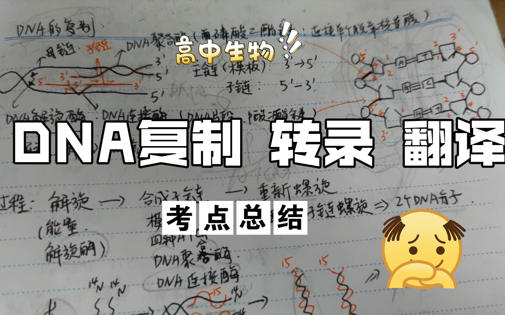 DNA复制 转录 翻译过程 重点考点哔哩哔哩bilibili