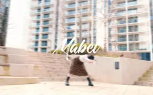 Tải video: 【木木蛋散】Mabel【HB2粽子淞】