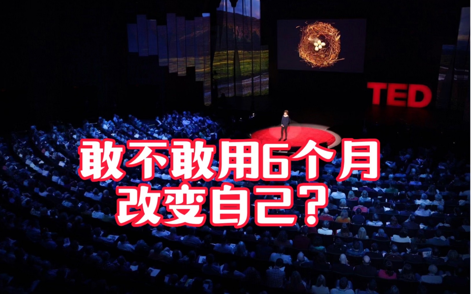 [图]TED演讲｜敢不敢用6个月彻底改变自己？