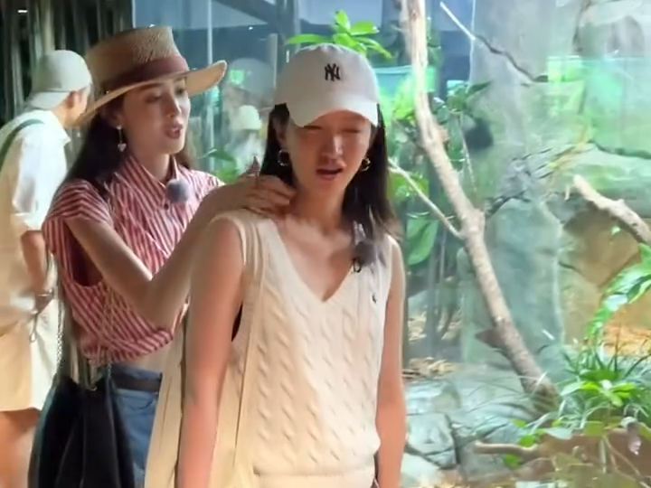 古力娜扎 秦岚 韩东君 赵昭仪 江疏影 陈柏霖 李斯丹妮 "花少好友记