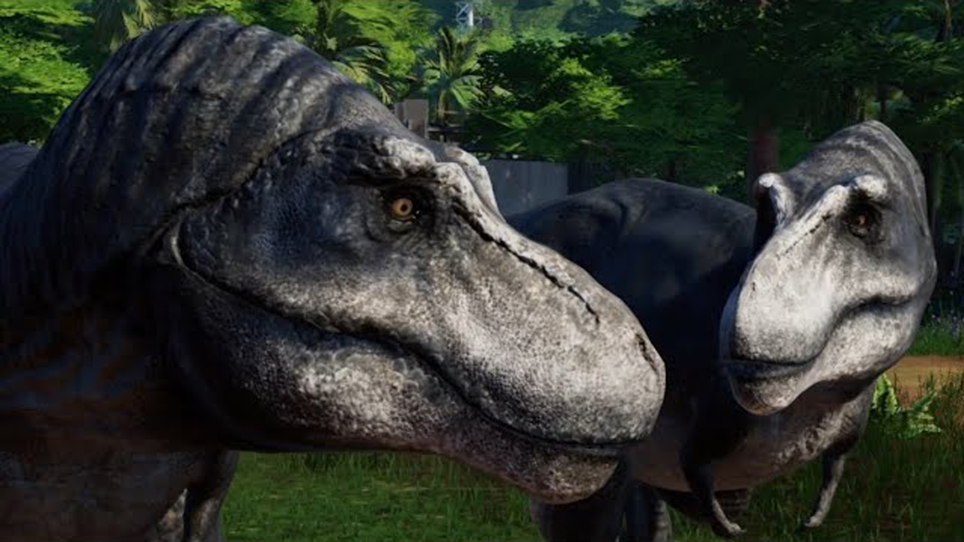 暴龙 vs 惧龙 ~(史前动物:恐龙)