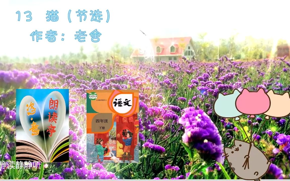 恣ⷦ„朗读亭《猫(节选)》作者:老舍 四年级语文下册哔哩哔哩bilibili