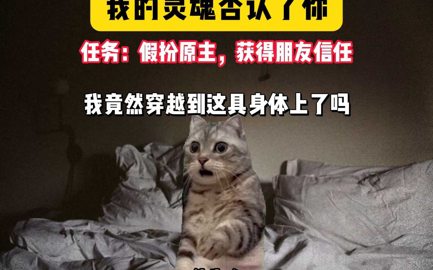兄弟：我的灵魂否认了你