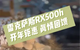 全新一代RX500h 开年钜惠 真情回馈