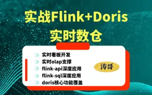 下载视频: 实时数仓项目  实战Flink + Doris