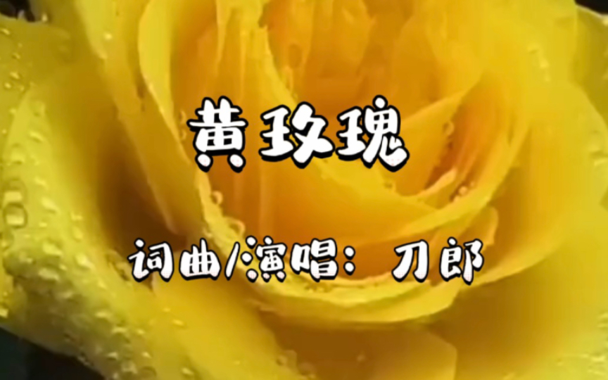 刀郎为女儿创作的《黄玫瑰》,婉转动人,充满爱意