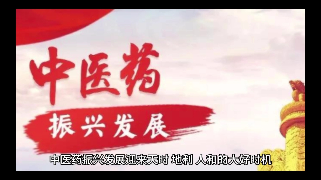 推动中医药走向世界